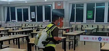 白蟻危害影響幼杉成活和成年杉林生長量的研究 白蟻危害影響幼杉成活和成年杉林生長量的研究